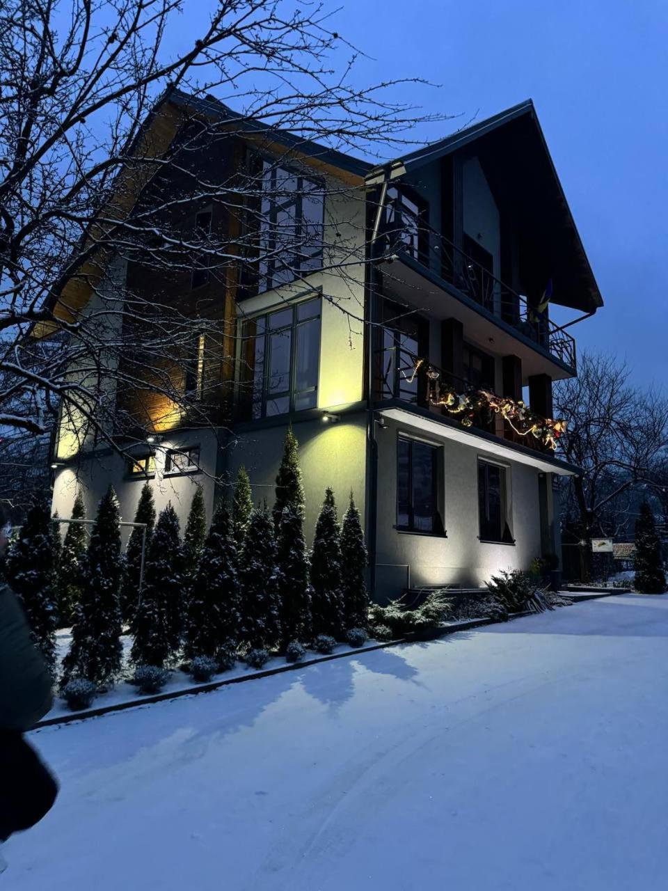 Girske Povitria 2 Villa Яремче Екстериор снимка