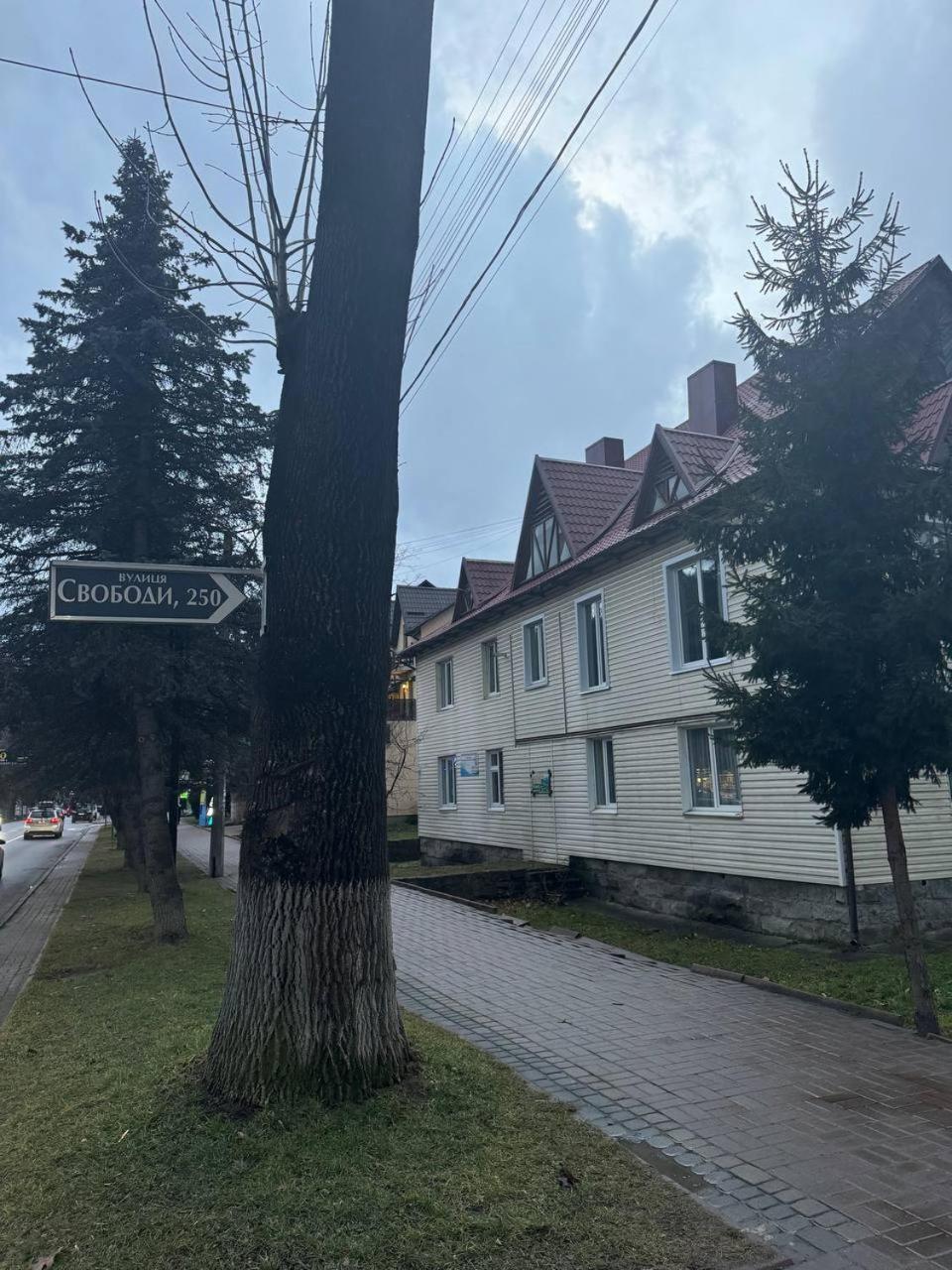 Girske Povitria 2 Villa Яремче Екстериор снимка